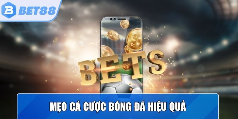 Bật mí mẹo và kinh nghiệm chơi cá cược bóng đá hiệu quả